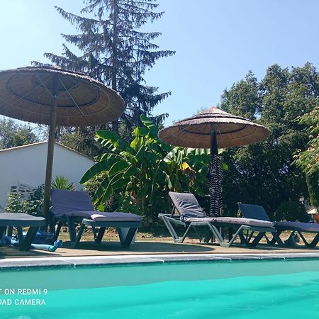 Bed and Breakfast Mas des Vignes Piscine chauffée Le Champ-Saint-Pere Esterno foto
